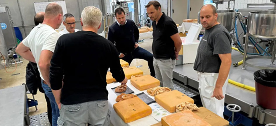 Gemeinsame Beurteilung von Versuchskäsen: Der Käse auf dem Holzbrett wurde traditionell ohne Textil gereift. Die übrigen Käse reiften nach dem neuen Verfahren. Bild: Hans-Peter Bachmann, Agroscope