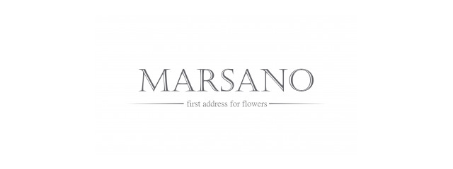 Logo Marsano