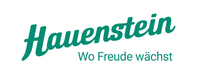 Hauenstein AG 