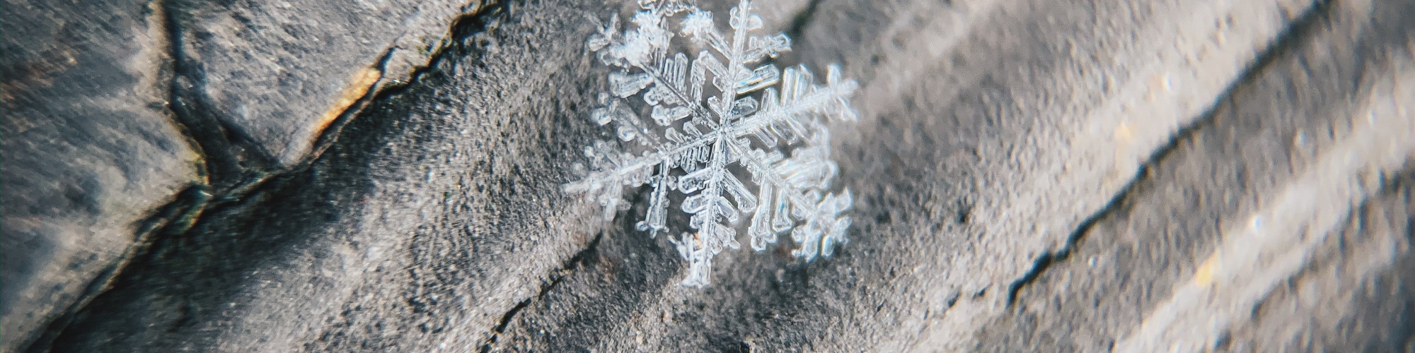 Schneeflocke