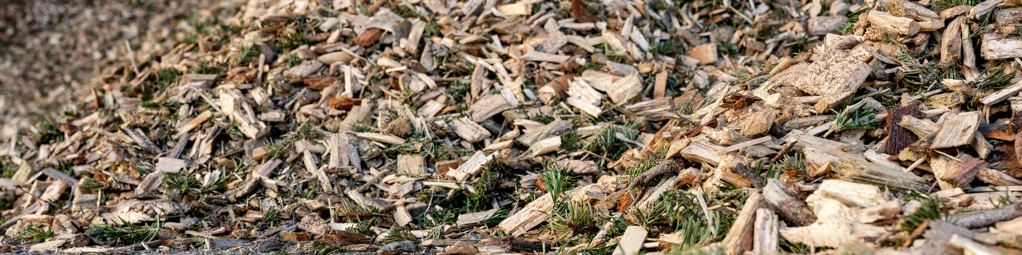 Holz SU