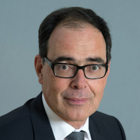 Geschäftsführender Partner Fanzun AG