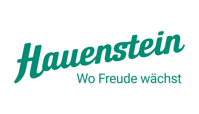 Hauenstein AG 